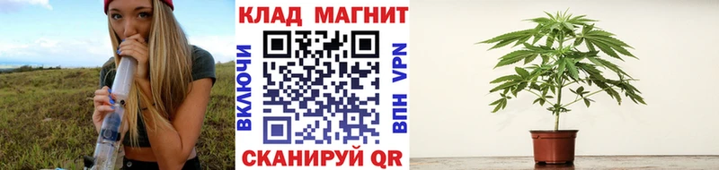 МЕТАДОН Химки