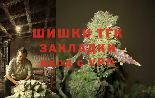 apvp Гусь-Хрустальный
