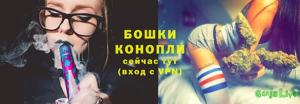 apvp Гусь-Хрустальный
