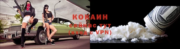 apvp Гусь-Хрустальный