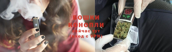 apvp Гусь-Хрустальный