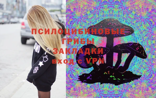 apvp Гусь-Хрустальный