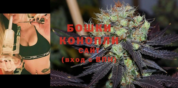 твердый Гусиноозёрск