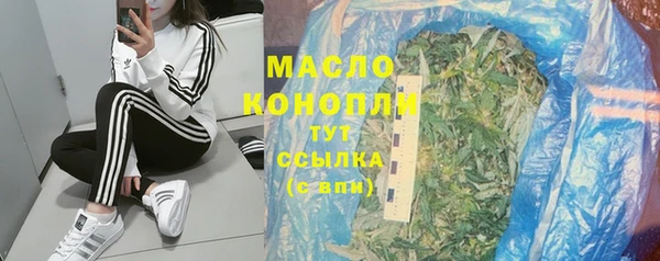 стафф Гусев
