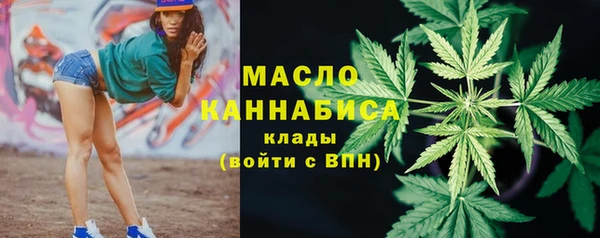 стафф Гусев