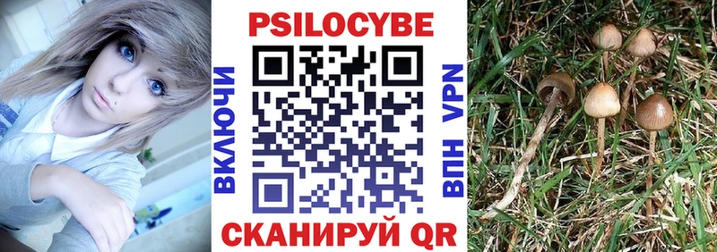Галлюциногенные грибы Psilocybe  Химки 